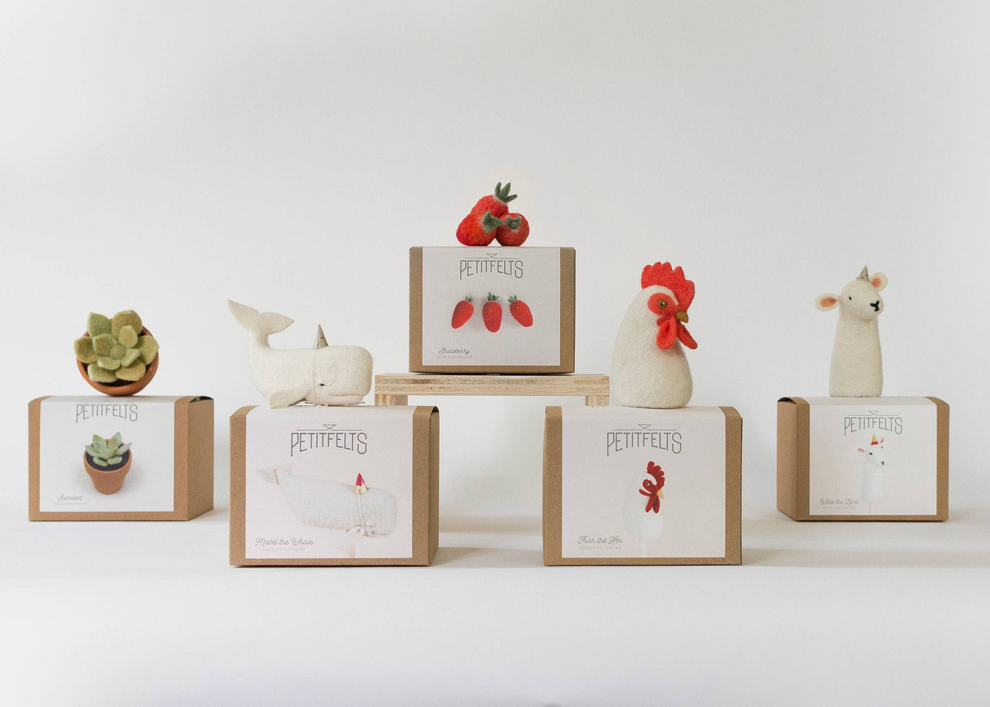 Needle Felting Kit